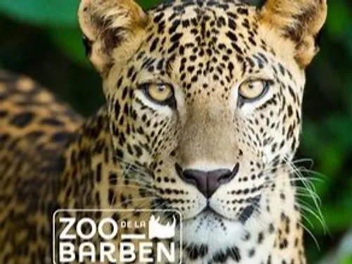 [ Culture - Loisir ] Zoo de la Barben - La barben