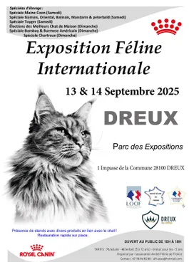DREUX - Exposition Féline Internationale
