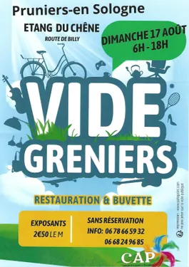 PRUNIERS-EN-SOLOGNE (41) - Brocante du Comité d'animation