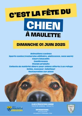 MAULETTE (78) - Fête du chien