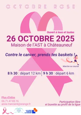 CHÂTEAUNEUF-EN-THYMERAIS - Octobre rose