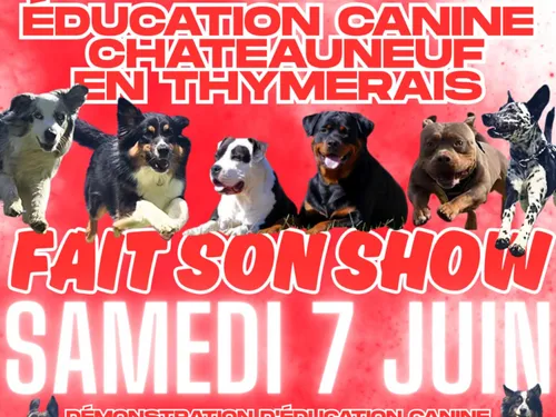 CHÂTEAUNEUF-EN-THYMERAIS - Éducation Canine fait son show