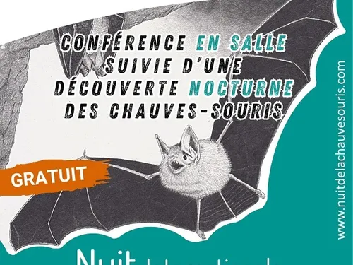 AUNEAU - Nature : Les chouettes-souris, ces chauves-souris