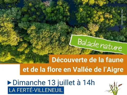 LA FERTÉ-VILLENEUIL - Nature : La faune et la flore de la Vallée de...