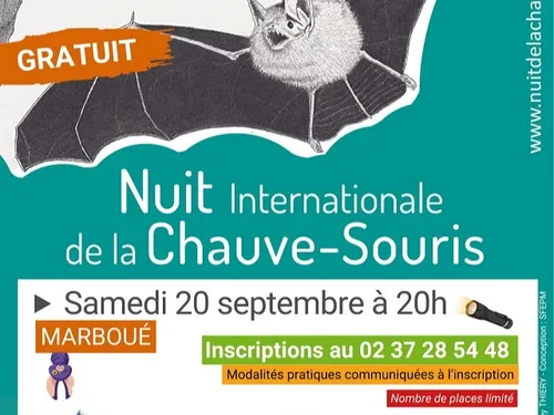 MARBOUÉ - Nature : Une nuit avec les chauves-souris