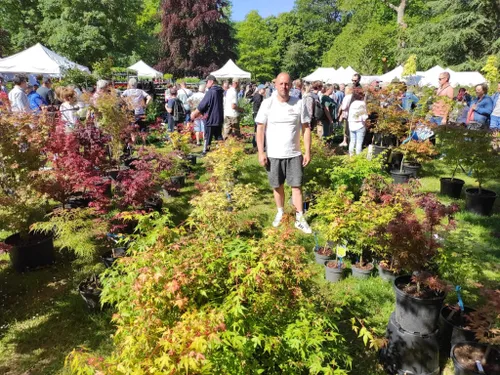 Les plantes en fête avec les Naturalies à Dreux