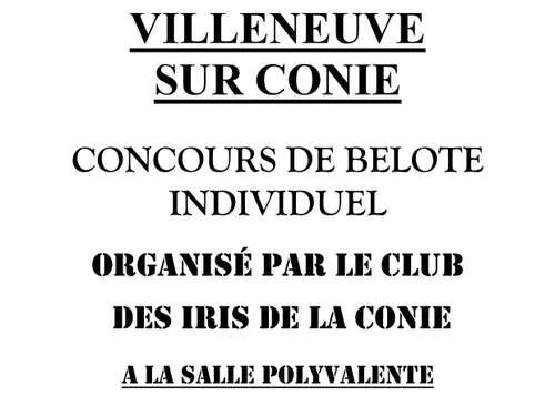 VILLENEUVE-SUR-CONIE (45) - Concours de belote