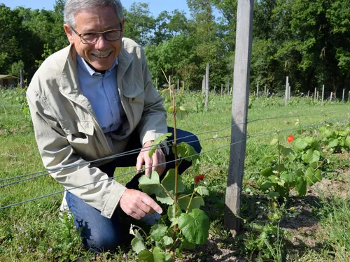 🔊 La fête de la vigne s'invite en centre-ville de Lèves