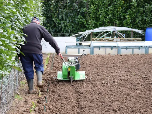 🔊Une nouvelle association cultive les Jardins familiaux de Châteaudun