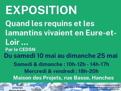 HANCHES - Exposition : Quand les requins et les lamantins vivaient...