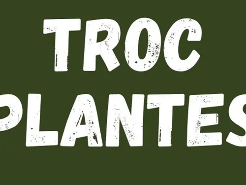 LA MADELEINE-BOUVET (61) - Troc Plantes