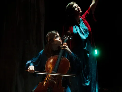 VERNOUILLET - Musique folk du monde : Birds on a Wire