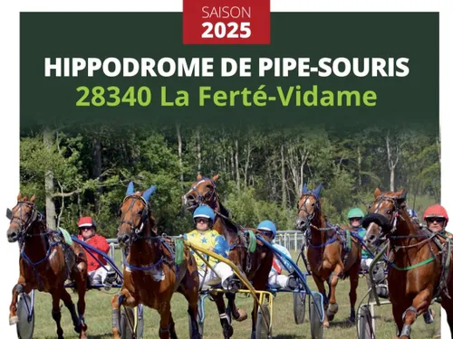 LA FERTÉ-VIDAME - Courses au trot