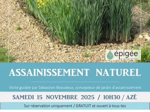 AZÉ (41) - Visite d'une phytoépuration entretien collectif