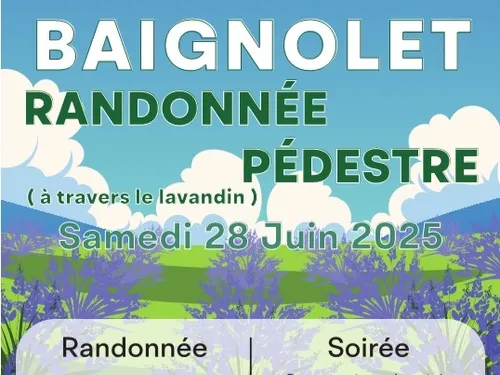 BAIGNOLET - Randonnée pédestre ; A travers le lavandin