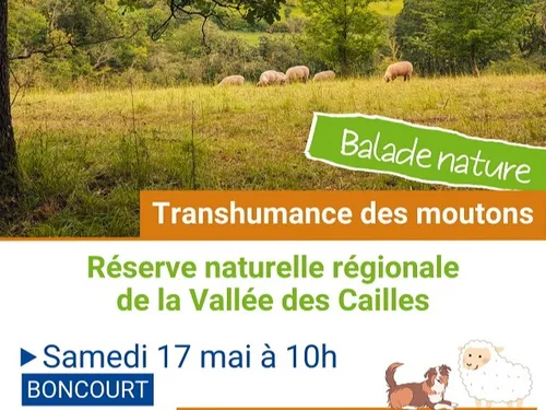 BONCOURT - Balade nature : Transhumance des moutons
