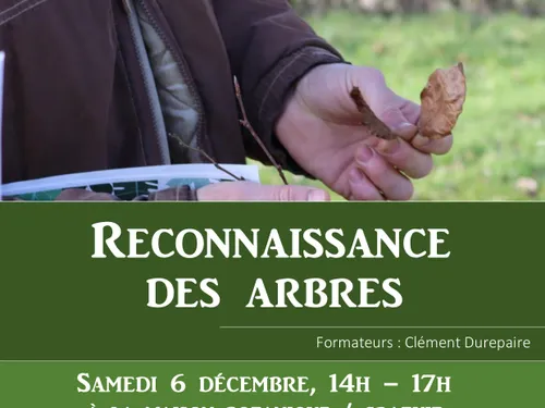 BOURSAY (41) - Reconnaissance des arbres
