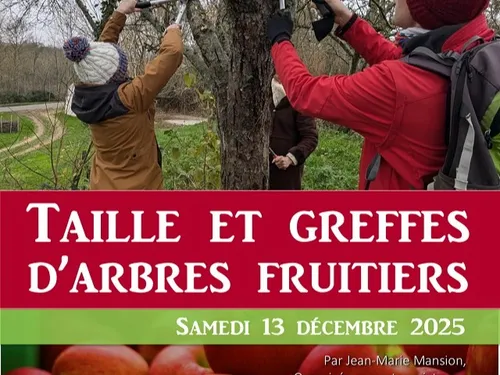 BOURSAY (41) - Taille de restauration des fruitiers