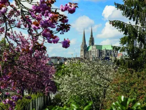 CHARTRES - Le musée des beaux arts rend hommage au millénaire de la...