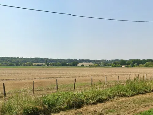 LOIR-ET-CHER – Un agriculteur perd 400 tonnes de pommes de terre en...