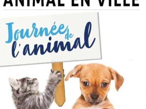 CHARTRES - Journée de l'animal en ville
