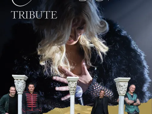 CHARTRES - Chartrestivales : Tribute D'eux Céline Dion
