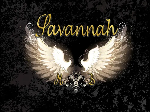 CHARTRES - Chartrestivales : Savannah Sun