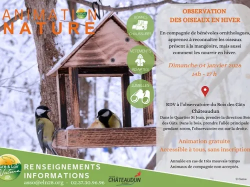 CHÂTEAUDUN - Observation des oiseaux en hiver