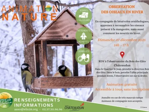 CHÂTEAUDUN - Observation des oiseaux en hiver