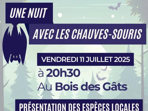 CHÂTEAUDUN - Une nuit avec les chauves-souris