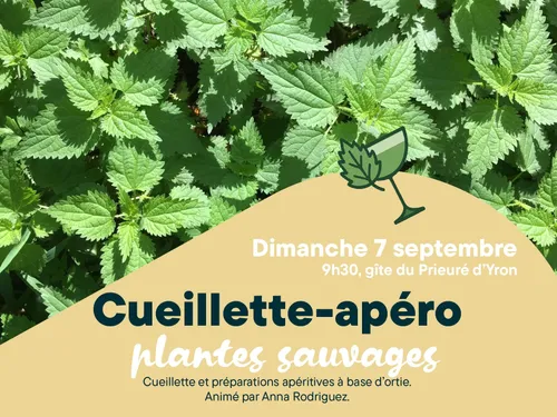 CLOYES-SUR-LE-LOIR - Atelier cuisine de plantes sauvages