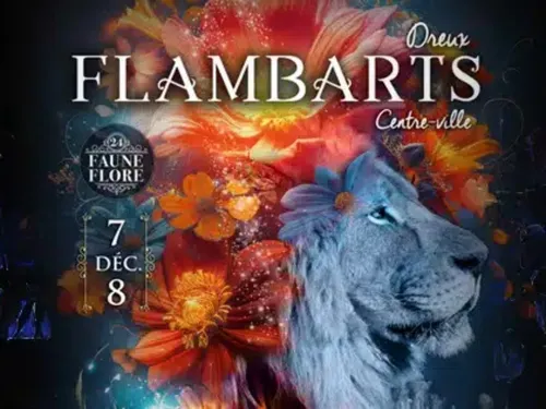DREUX - Les Flambarts
