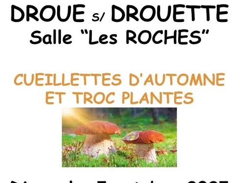 DROUE-SUR-DROUETTE - Cueillette d'automne et troc plantes