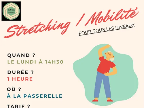 FRAZÉ - Stretching / mobilité