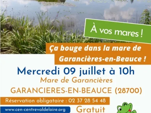 GARANCIÈRES-EN-BEAUCE - Nature : Ça bouge dans la mare