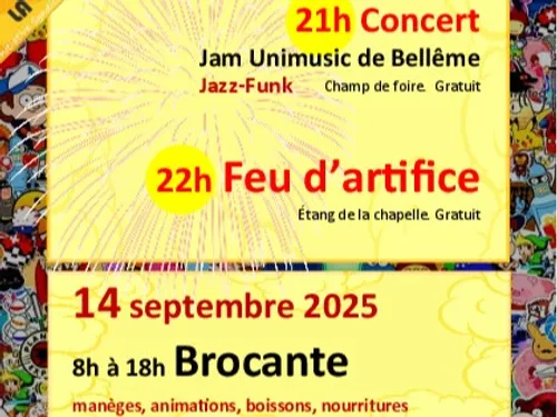 LA CHAPELLE-MONTLIGEON (61) - Brocante