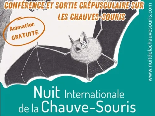LA FERTÉ-VIDAME - Nature : Une nuit avec les chauves-souris