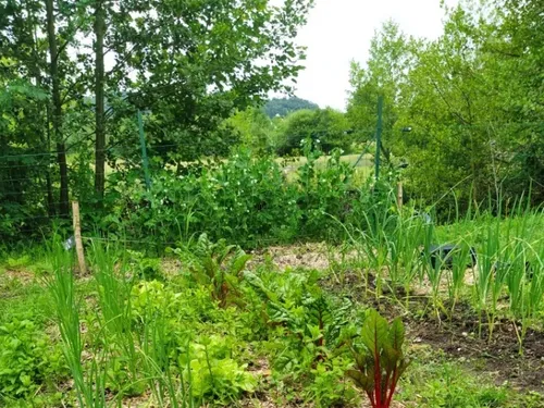 LE THEIL-SUR-HUISNE (61) - A la découverte du sol vivant au jardin...