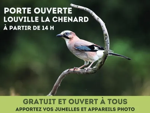 LOUVILLE-LA-CHENARD - Portes ouvertes à l’Observatoire des oiseaux