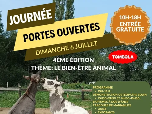 MARCHAINVILLE (61) - Journée portes ouvertes des Ânes des Hauts du...