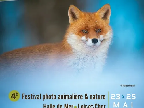MER (41) - Mer'Veilles Nature, festival photo animalière et nature