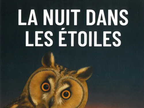 MONTOIRE-SUR-LE-LOIR (41) - La nuit des étoiles
