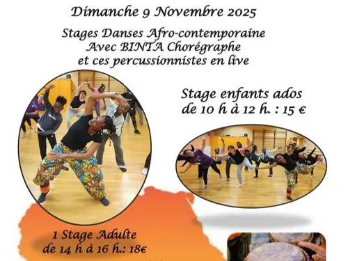 MAINTENON / PIERRES - Stages danses afro-contemporaine