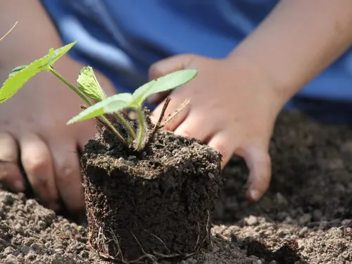 Les élèves de l'école de Charonville récompensés pour la biodiversité