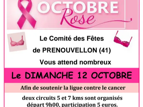 PRÉNOUVELLON (41) - Marche rose