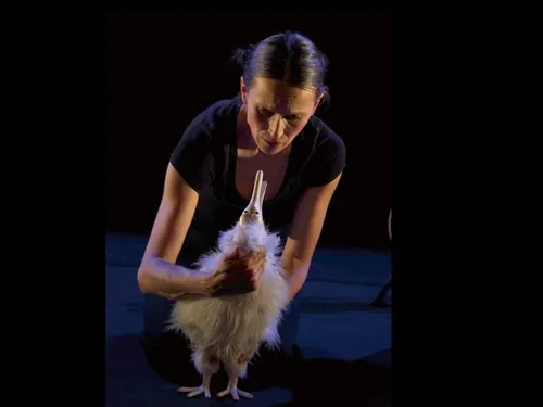RAMBOUILLET – Jeune public : Le rêve de kiwi