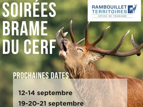 RAMBOUILLET (78) - Soirées Brame du cerf