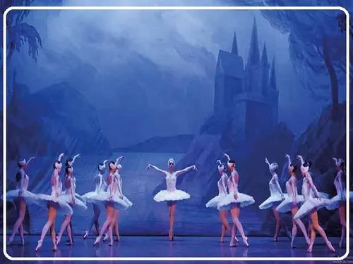BLOIS (41) - Spectacle : Le Lac des Cygnes