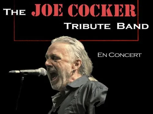 ROMORANTIN (41) - Saison culturelle : The Joe Cocker tribute band