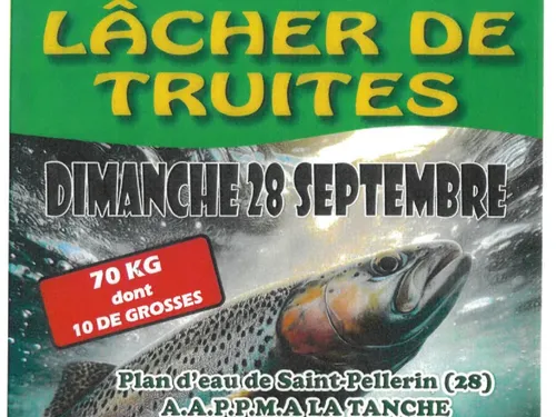 SAINT-PELLERIN - Lâcher de truites